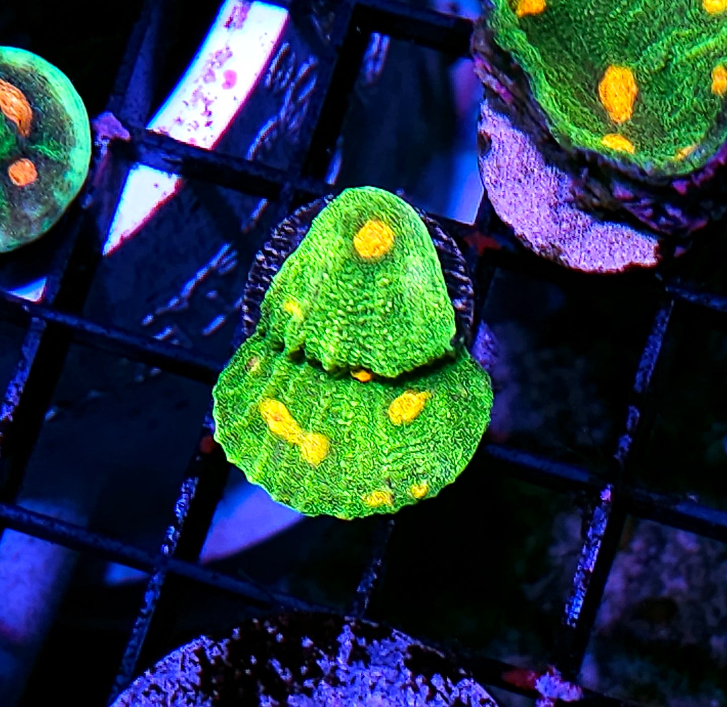 Space Invaders Chalice