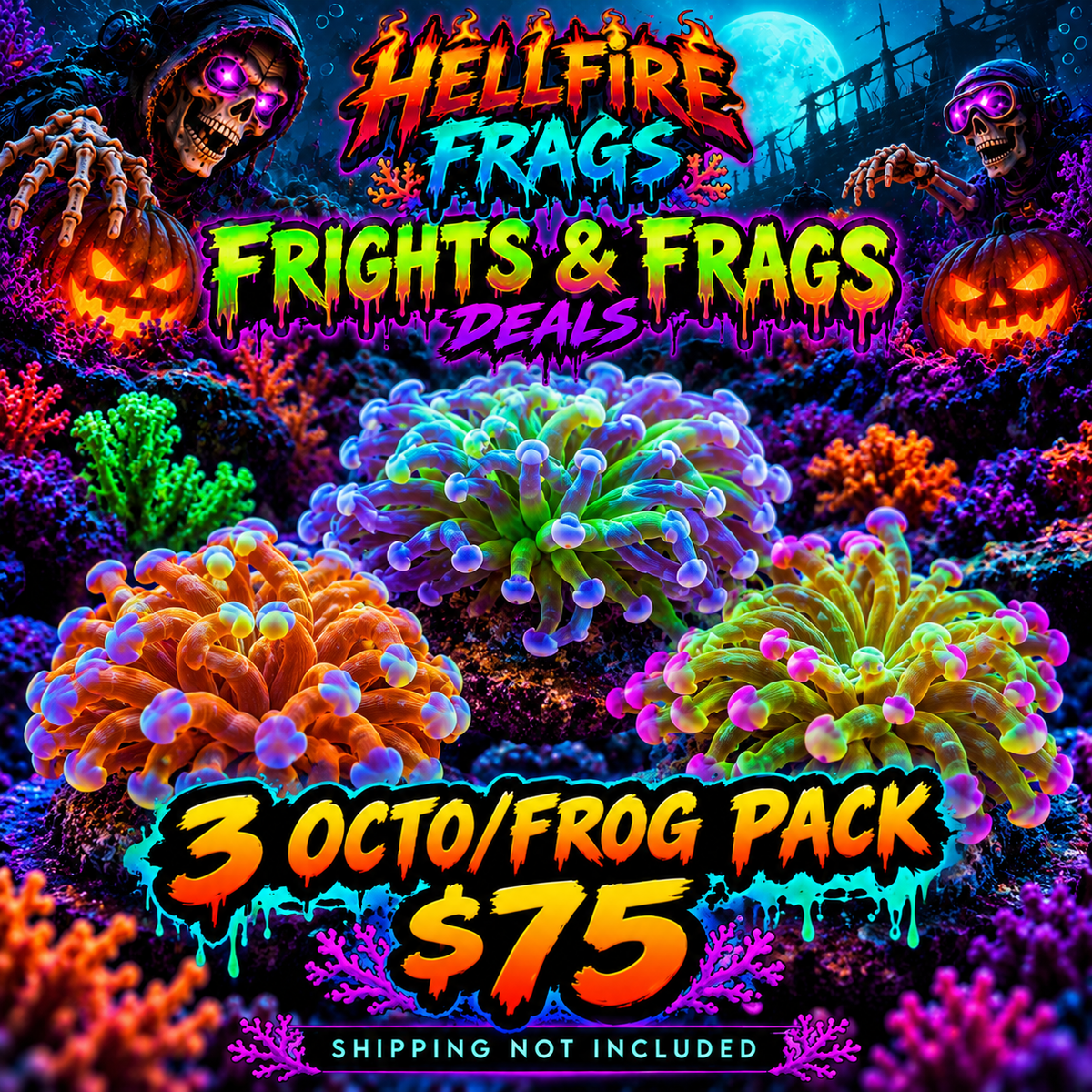 3 Octo/Frog Pack NOT WYSIWYG OUR PICK