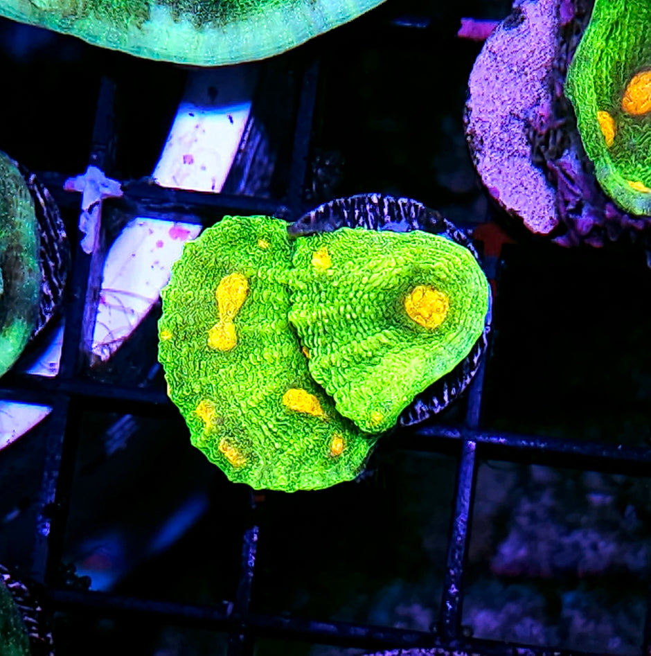 Space Invaders Chalice