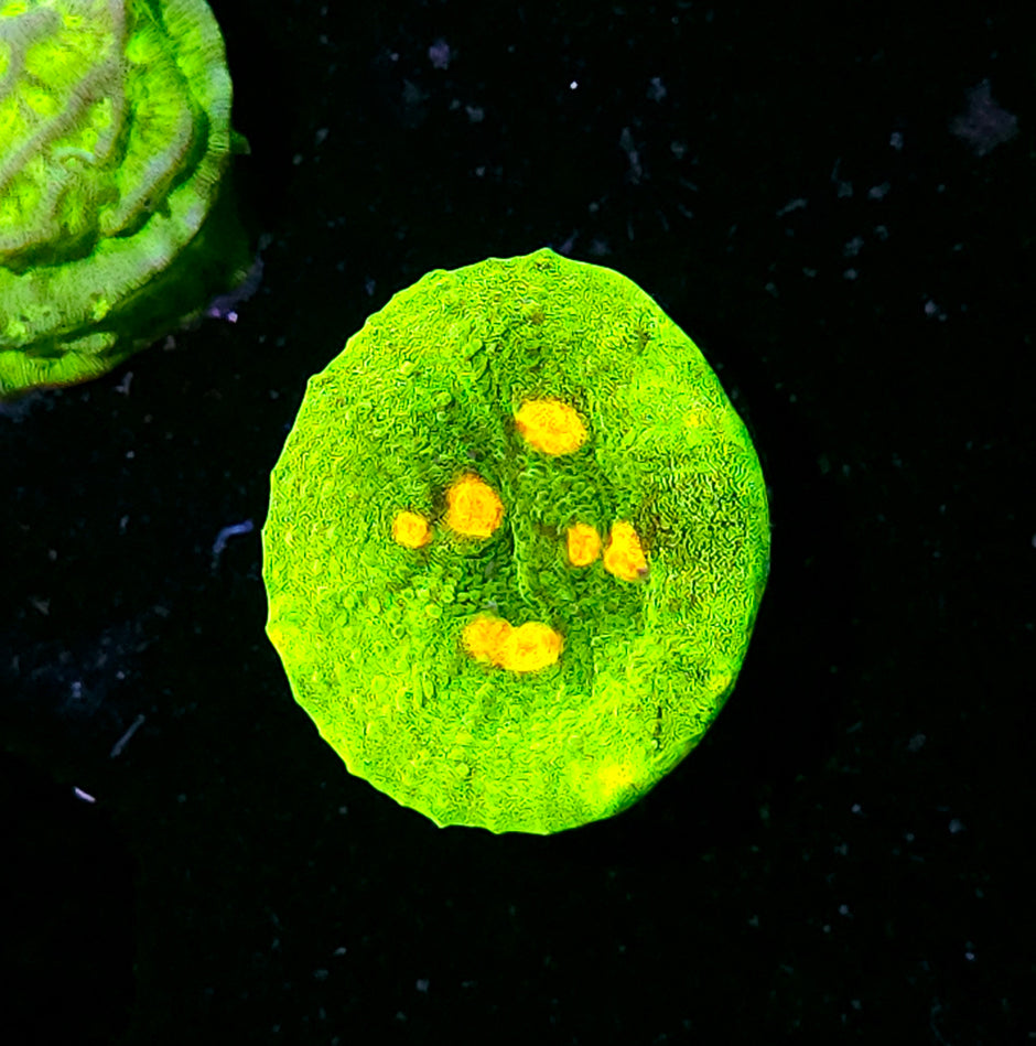 Space Invaders Chalice