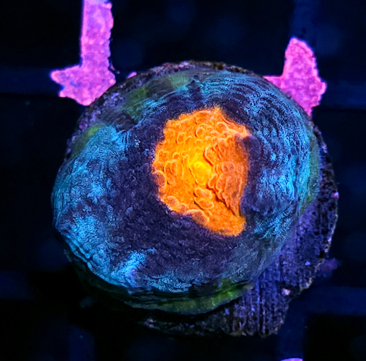 Eye of Titan Chalice
