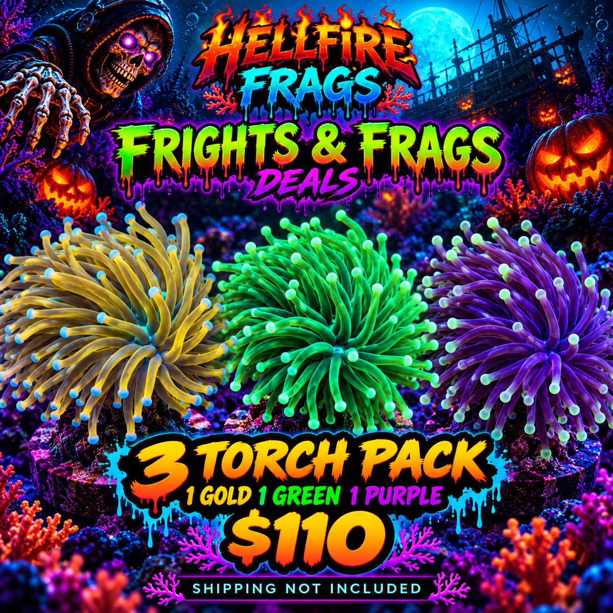 3 Torch Pack-  1 Gold 1 Green 1 Purple NOT WYSIWYG OUR PICK